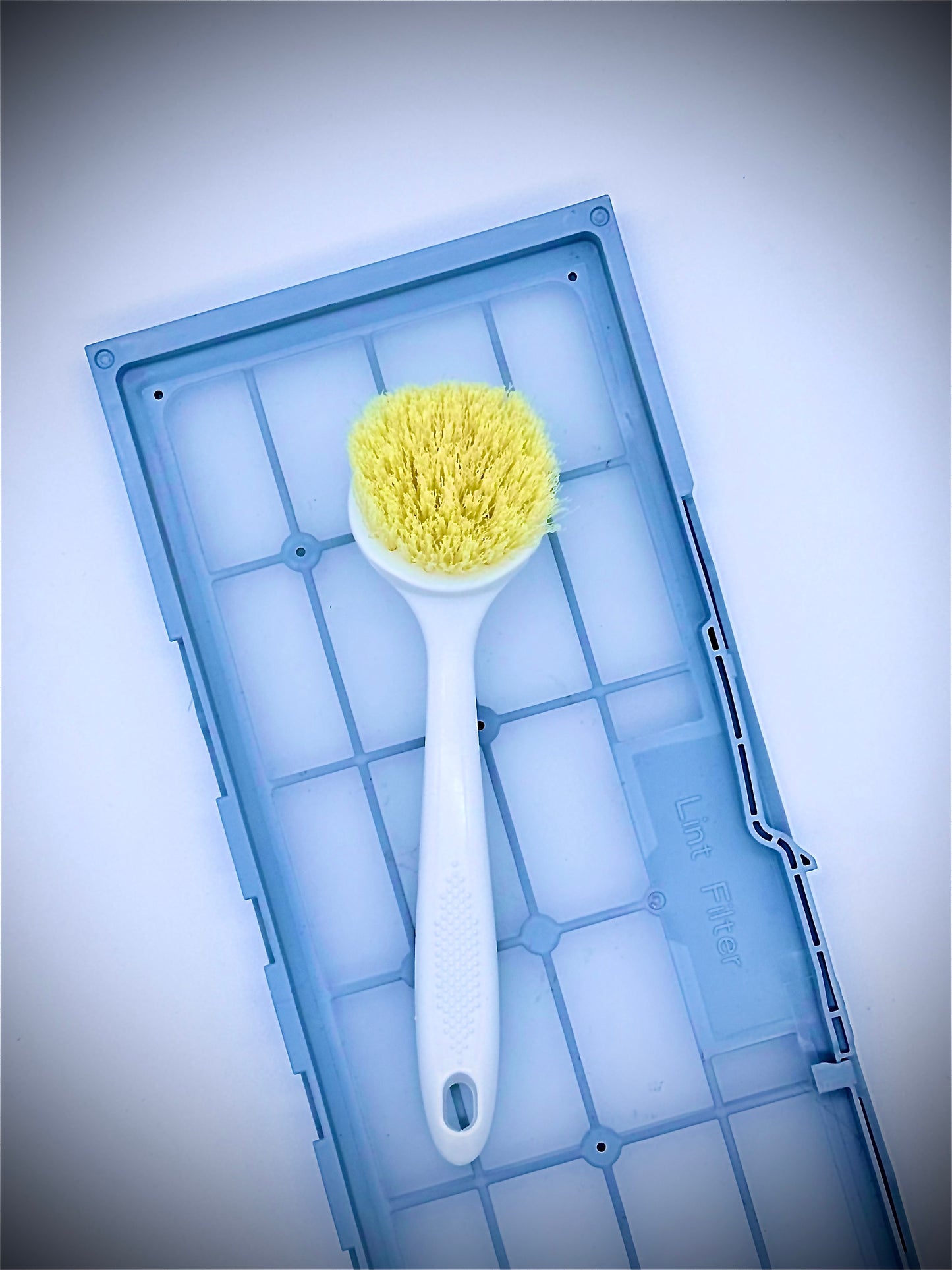 Scrub-a-Dub Mesh Screen Round Cleaning Brush